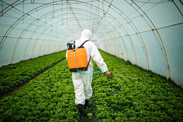 Best Pest Control Near Me  in Aberdeen, ID