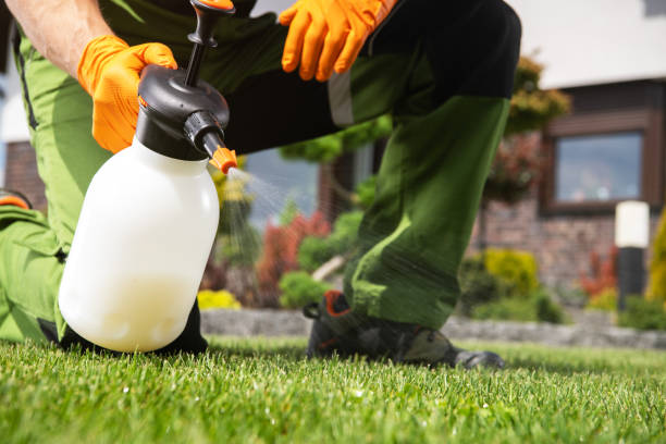 Best Pest Removal Services  in Aberdeen, ID