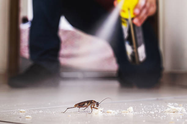 Aberdeen, ID Pest Control Company