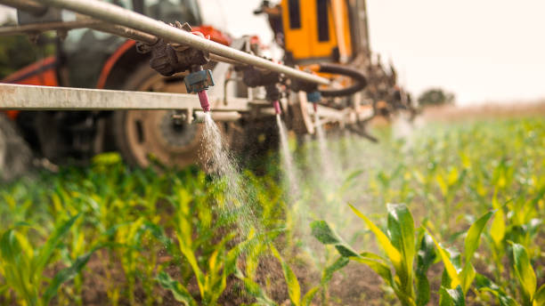Best Best Pest Control Companies  in Aberdeen, ID