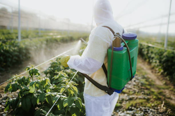 Best Ant Control Services  in Aberdeen, ID